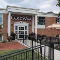 CocoVaa Chocolatier ico
