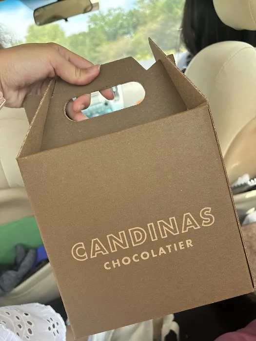 Candinas Chocolatier Picture 8