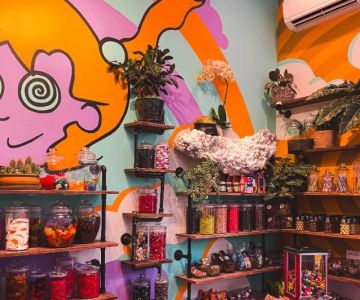 Best Candy Shops in Seattle - A Sweet Adventure Awaits