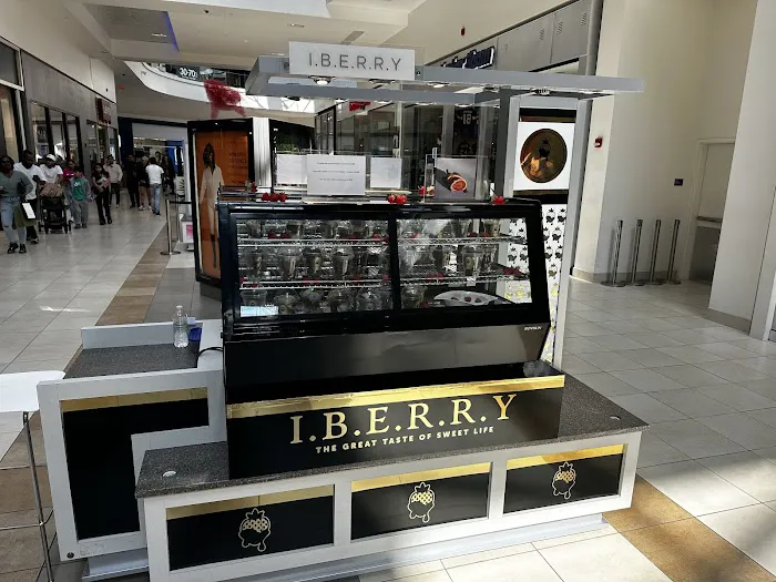 iBerry INC Picture 6