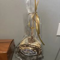 Rocky Mountain Chocolate Factory ico