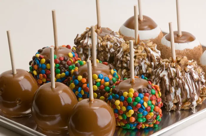 Rocky Mountain Chocolate Factory Picture 5