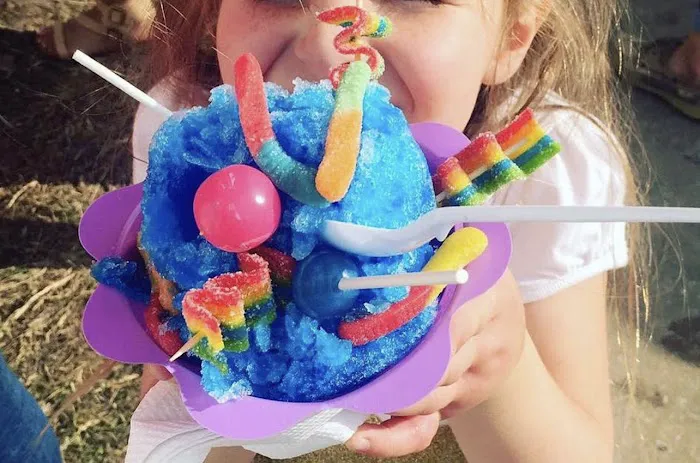 Slush'ee Food & Snacks Picture 2