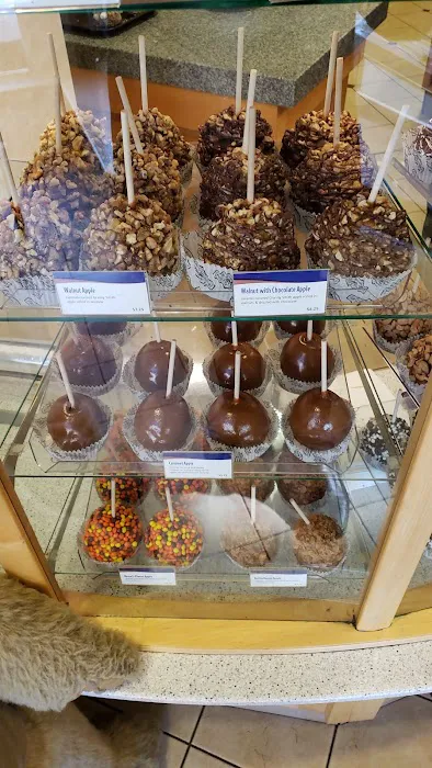 Rocky Mountain Chocolate Factory Picture 8