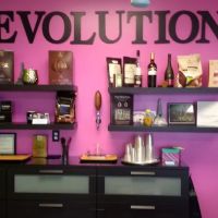 Evolution Artisan Confections ico