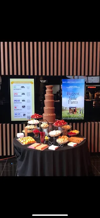 Mr Chocolate Fountains Inc Picture 7