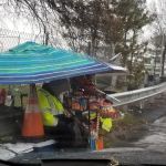 Andy's Candy Cart