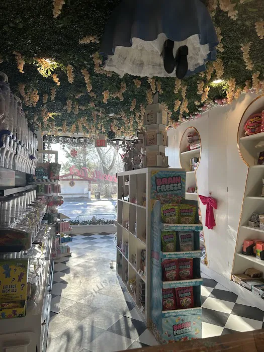 TweedleTee's Candies & Curiosities Picture 10