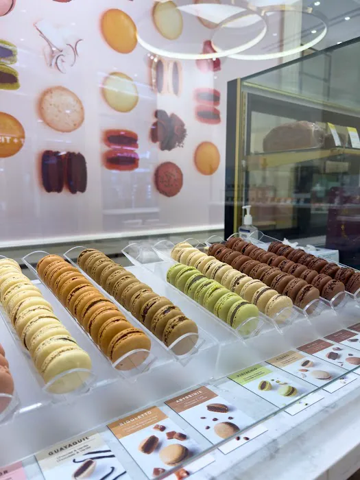 La Maison du Chocolat World Trade Center Picture 9
