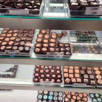 Tracey's Candy Shoppe ico