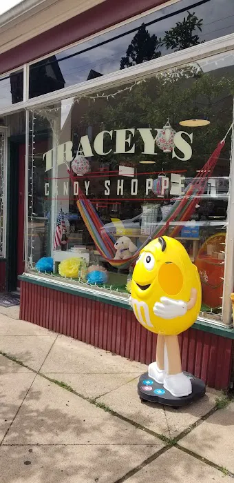 Tracey's Candy Shoppe Picture 10