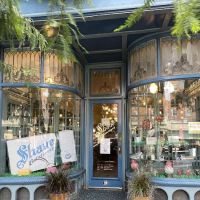 Shane Confectionery ico