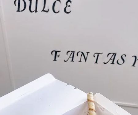 Dulce Fantasy