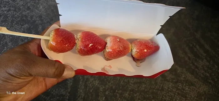 Chan Bai Mei fruit candy Picture 10