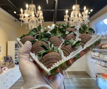 Warwick Chocolate Company
