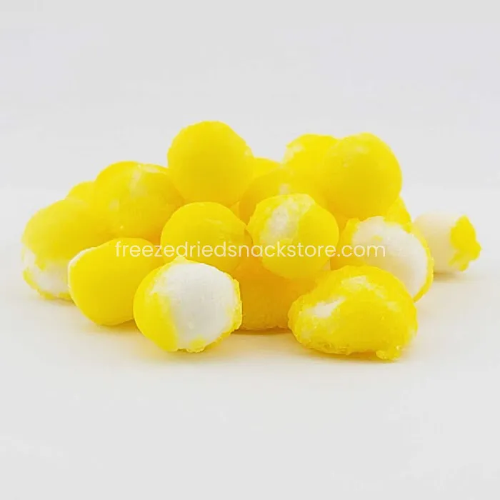 Freeze Dried Snack Store Picture 6