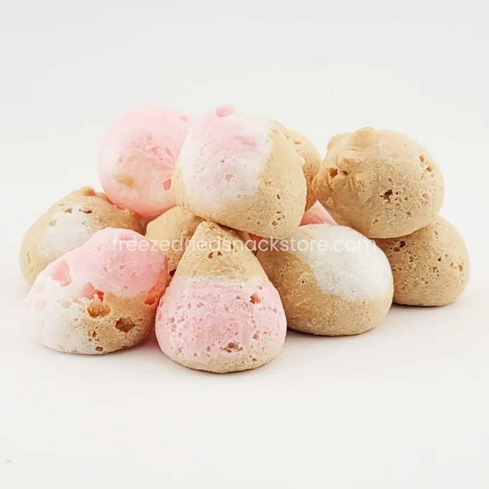 Freeze Dried Snack Store Picture 5