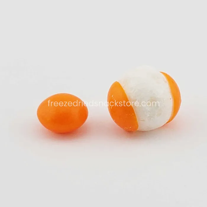 Freeze Dried Snack Store Picture 10