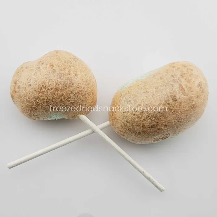 Freeze Dried Snack Store Picture 9