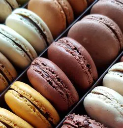 La Maison du Chocolat Truck Picture 4