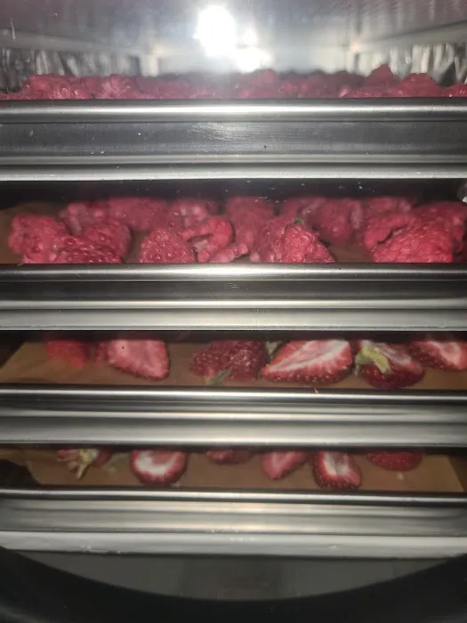 Freeze Dried FX Picture 7