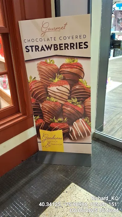Gertrude Hawk Chocolates Picture 4