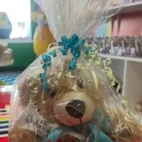 IGWTA HOUSE Candy Shoppe ico
