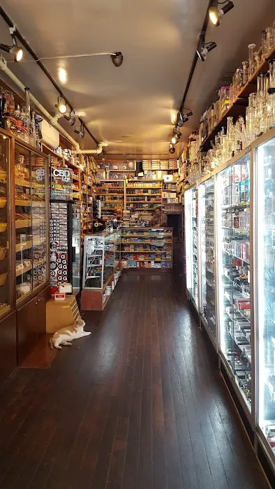 Sonic Candy shop Picture 6