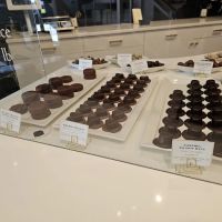 Bridgewater Chocolate ico