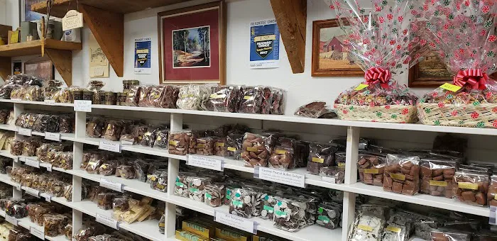 Evans Candy Picture 8