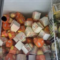 Exotic Snack Guys ico