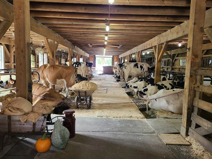 Thorncrest Farm & Milk House Chocolates Picture 7