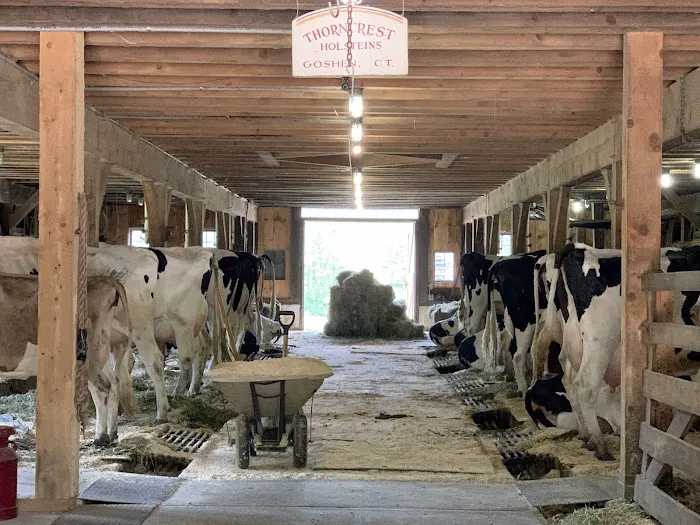 Thorncrest Farm & Milk House Chocolates Picture 10
