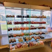 Purity Candy Company ico
