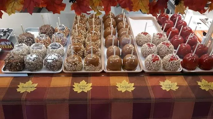 Olde Time Candy & Bulk Foods LLC Picture 5