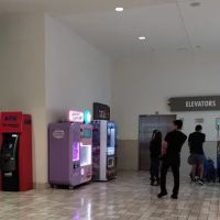 SP Cotton Candy ico