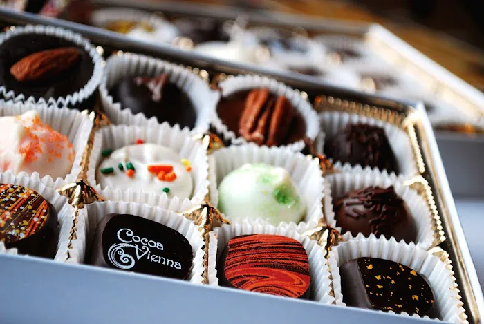 Cocoa Vienna Picture 3