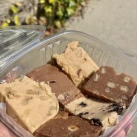 Newport Fudgery ico