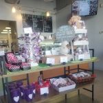 Cameron's Coffee and Chocolates