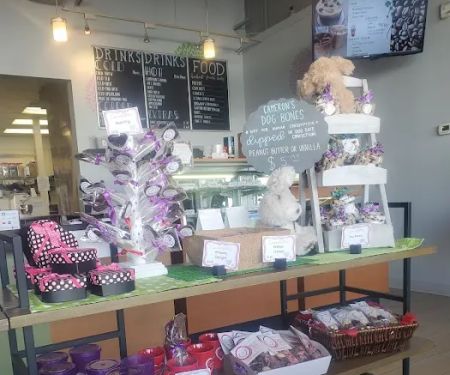 Cameron's Coffee and Chocolates