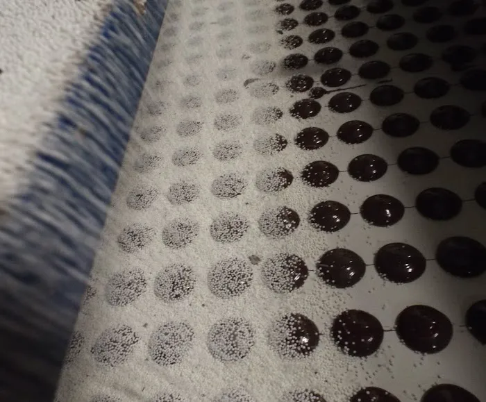 Dorothy Cox's Candies Inc. Picture 5