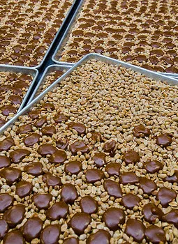 Dorothy Cox's Candies Inc. Picture 10