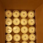 Woodards Sugar House