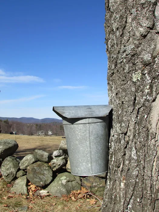 Somero Maple Farm Picture 8