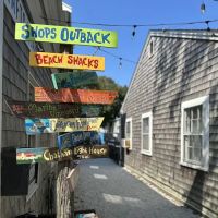 Dr. Gravity's Candy Shack ico