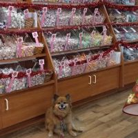 Beachside Candy Co. ico