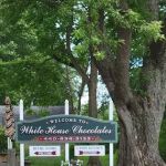 White House Chocolates Ltd