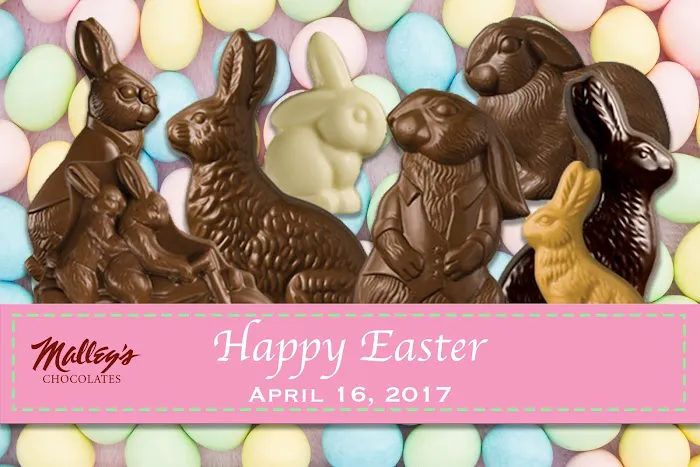Malley's Chocolates Picture 3
