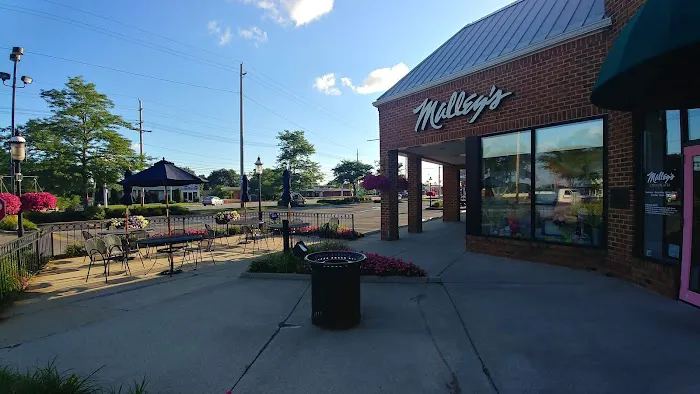 Malley's Chocolates Picture 1