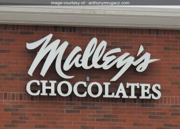 Malley's Chocolates Picture 5